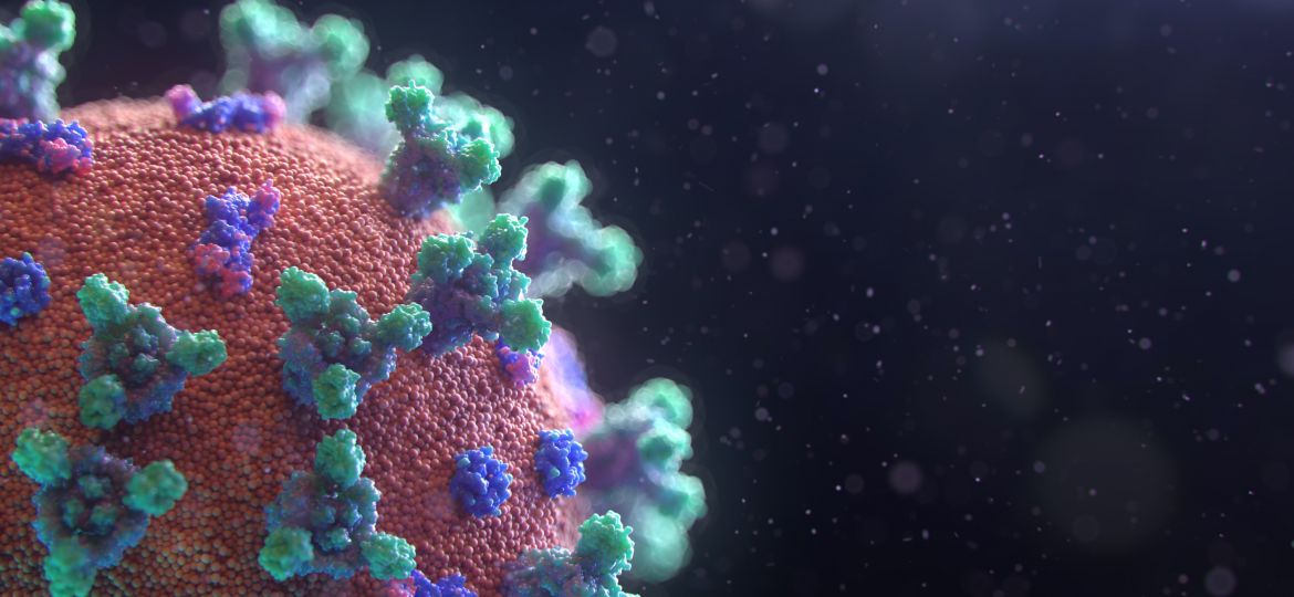coronavirus pandemic